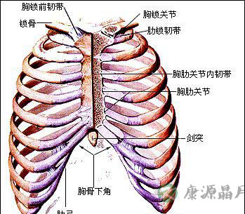 维生素D缺乏性佝偻病