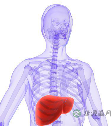 乙肝是怎么引起的 为什么会得乙肝