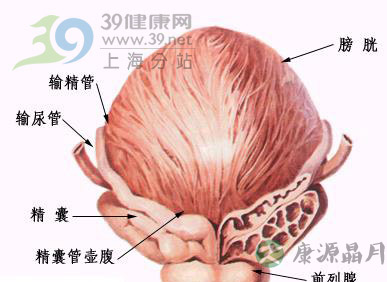 上海治疗前列腺炎医院推荐