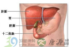 闲话胆囊癌肝脏微转移的预后