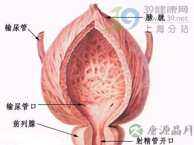 上海治疗前列腺炎医院推荐