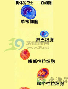 白细胞减少症
