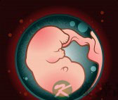 羊水过多有哪些原因