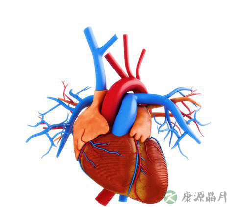 心阳虚的治疗办法有哪些？