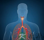 病毒性支气管炎症状 病毒性支气管炎症状