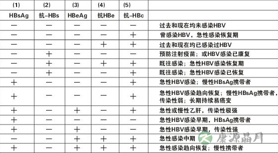 乙肝五项定量对照表