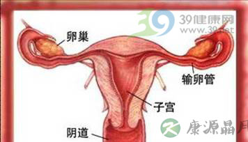 五大常见问题拷问盆腔炎