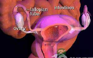卵巢早衰的症状 卵巢早衰的症状