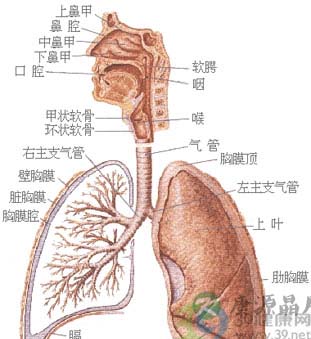 钟南山谈慢性呼吸病的保健