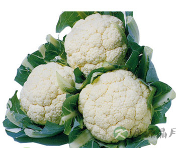 防癌新知：花椰菜防皮肤癌