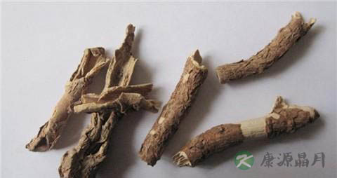 五加皮的功效与作用有哪些?