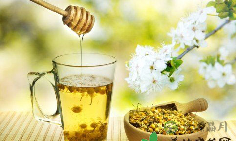 营养搭配：茶水加蜂蜜提高抵抗力