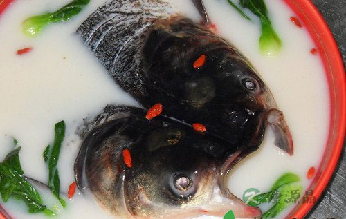 家常菜鱼头豆腐汤 营养丰富味道鲜美