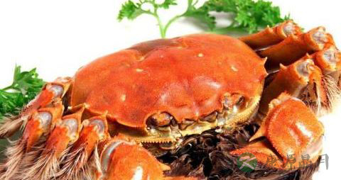 吃螃蟹要注意什么_吃螃蟹的注意事项