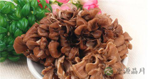 灰树花的功效与作用