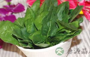 菠菜的营养价值