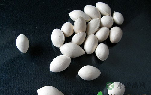 白果的营养价值