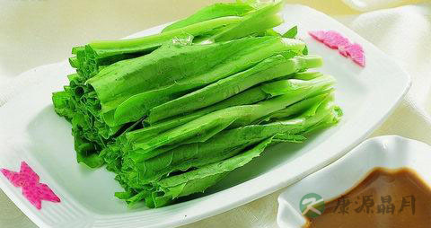 油麦菜的营养价值有哪些