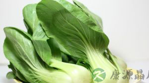 青菜比牛奶更补钙吗