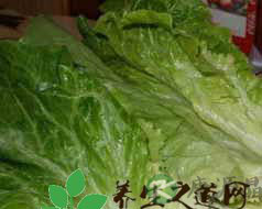 生菜的营养价值 生菜的营养价值