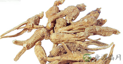 当归的功效与作用及食用方法