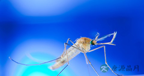 怎么预防疟疾_预防疟疾病的方法