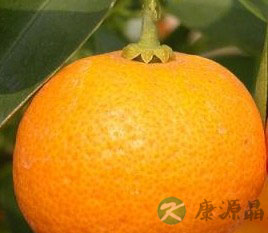 柑子