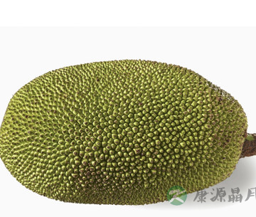 枇杷 枇杷