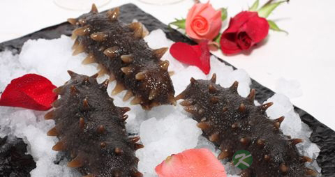 老人吃海参有什么好处