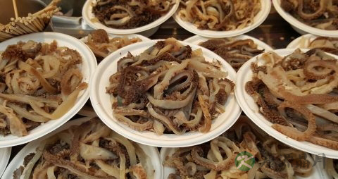 老人补肾小药方