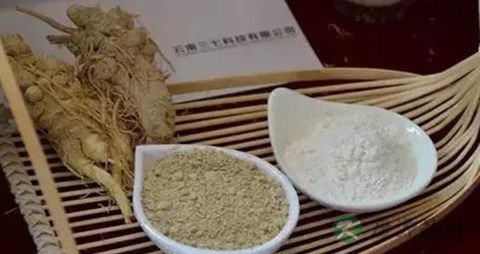 老人怎么吃三七粉