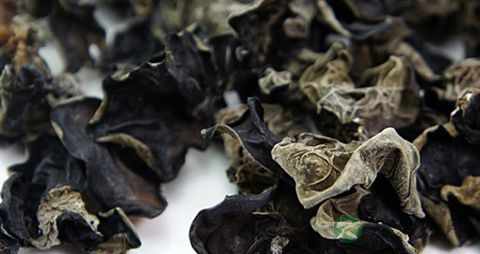 老人消化不好吃什么菜