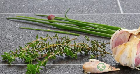 老年人便秘吃什么菜