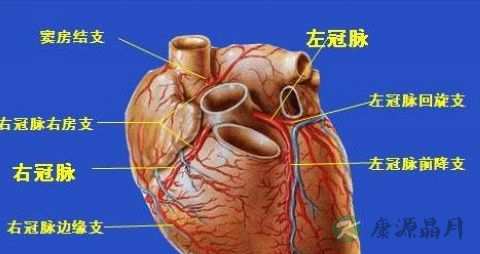 冠心病吃生菜好吗