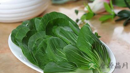 老人吃什么菜好