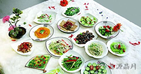 老人长期素食好吗