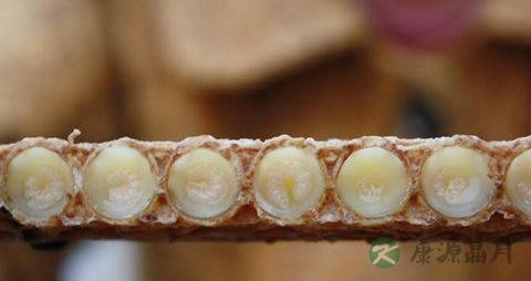 老人经常吃蜂王浆有什么好处