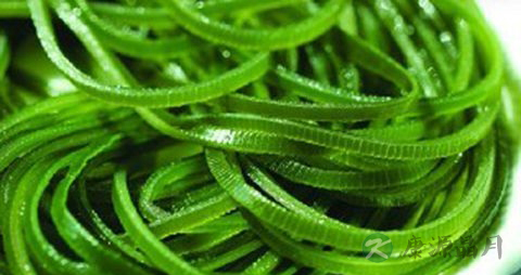 老人消化不好吃什么菜好