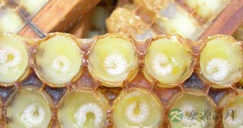 老人经常吃蜂王浆有什么好处
