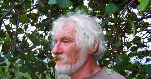 老人病后调理