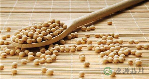 老人缺蛋白质吃什么好