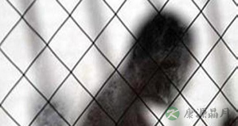 偏执性精神障碍吃什么药