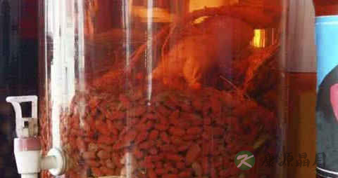 免疫力下降吃什么药