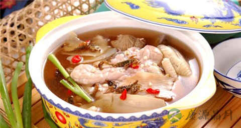 遗传性共济失调吃什么药