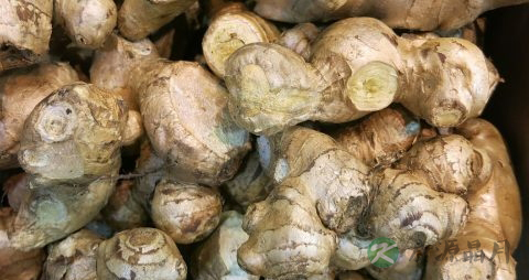 食管炎吃什么药