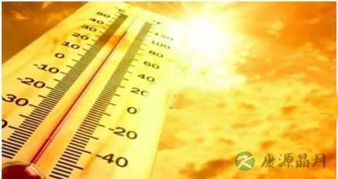 疰夏吃什么药