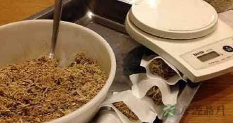 精神发育迟缓吃什么药