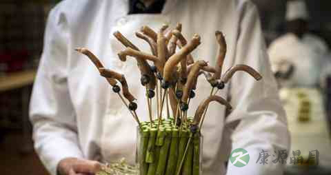 蹼状阴茎吃什么药