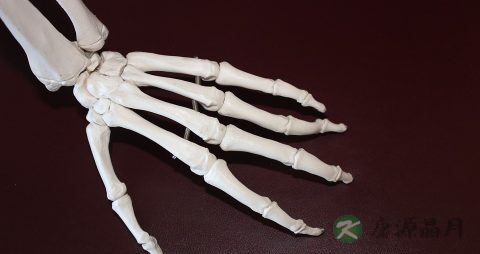 类风湿关节炎吃什么药