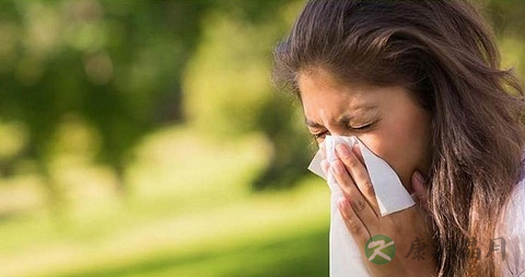 季节性过敏性鼻炎吃什么药